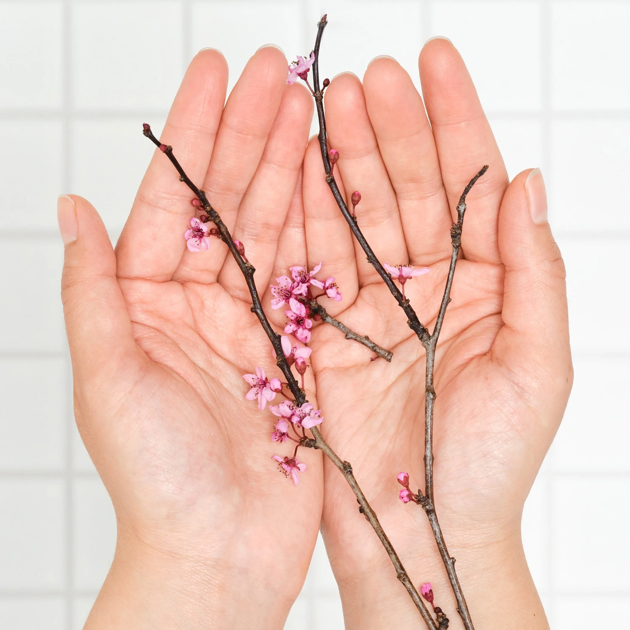 Cherry Blossom - Pure-Castile Magic Soap - Image 11